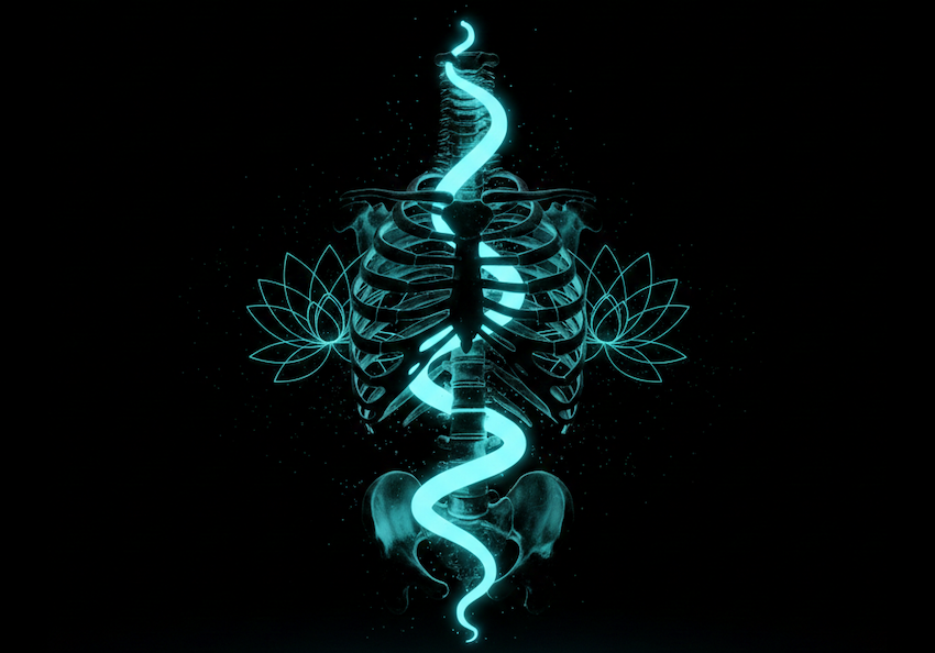 FEELCYCLEのP2姿勢における「コアの目覚め」と「マインドフルネス」を象徴する、シアンのエネルギーが流れる背骨と蓮のモチーフの画像